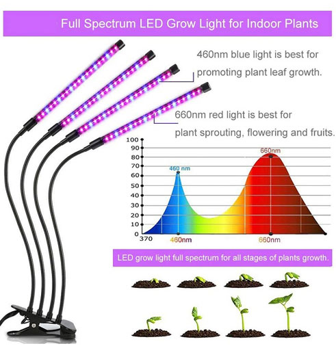 Grow Bulbs for Plants