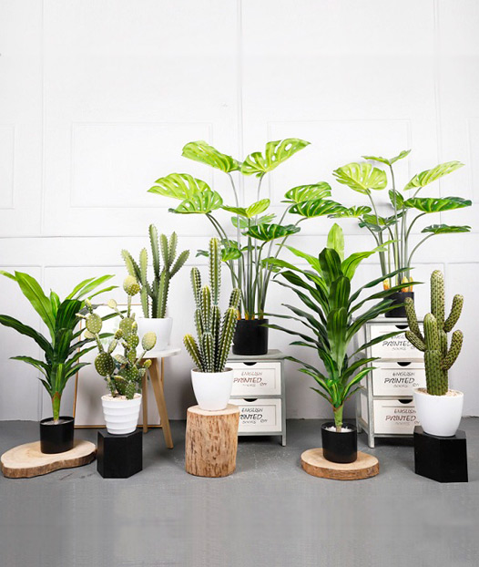Artificial Plants for Room Decor