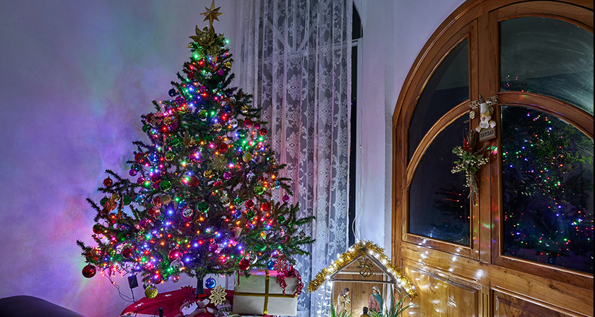 Christmas Tree Floral Arrangement