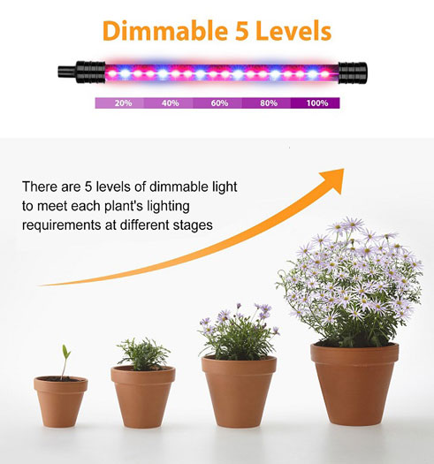 Grow Lamps for Seedlings