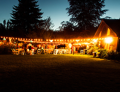 Garden Led Strip Lights