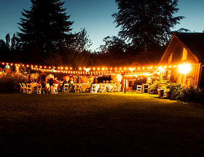 Garden Led Strip Lights