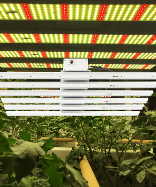 Plant Grow Lights