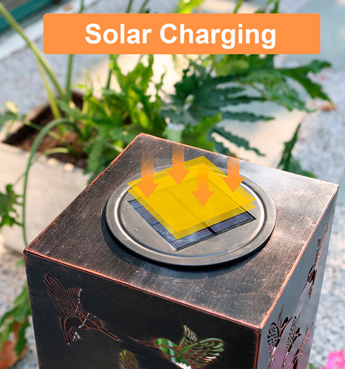 Solar Accent Lights