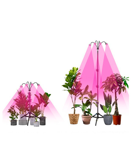 Grow Lights